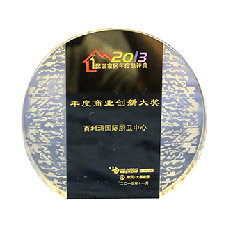 Business Innovation Award in 2013